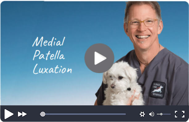 can dogs live with luxating patella